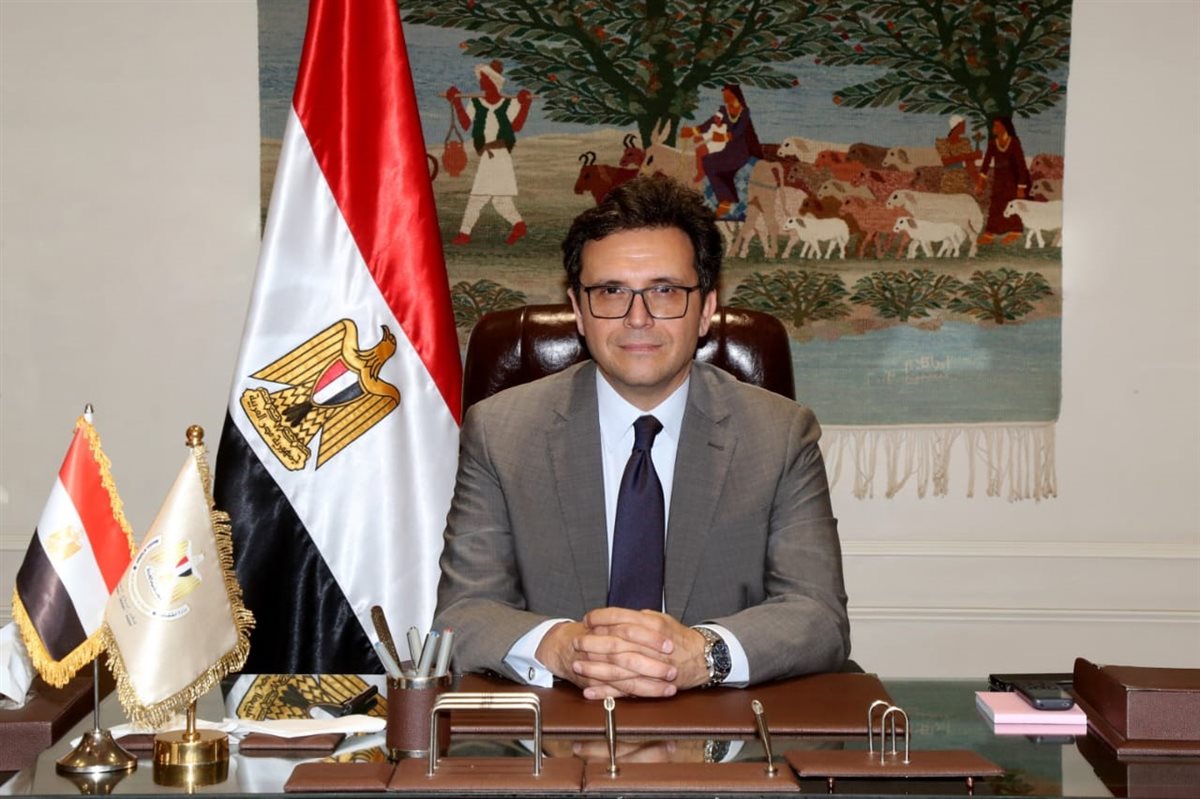 <strong>وزير الثقافة أحمد فؤاد هنو</strong>