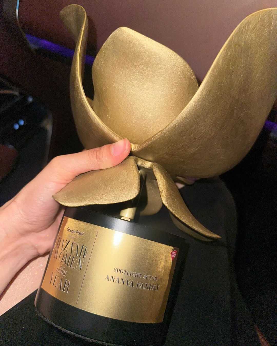<strong>جائزة حفل توزيع Harper's Bazaar Women Of The Year Awards لعام 2024 التي فازت بها أنانيا بانداي</strong>