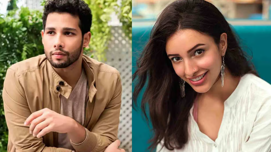 <strong> تريبتي ديميري و سيدانت شاتورفيدي أبطال الفيلم الجديد Dhadak 2</strong>