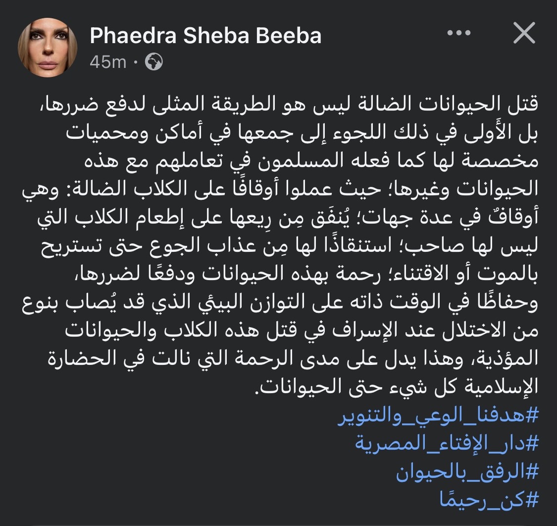 فيدرا: قتل الحيوانات الضالة ليس الحل.. وتدعو للرحمة