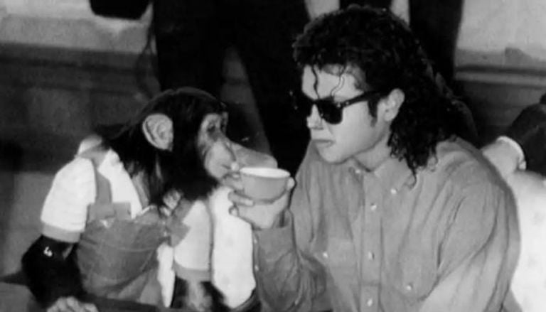 بابلز.. الشمبانزي الشهير لمايكل جاكسون يعيش حياة هادئة وفيلم “Michael” يثير الجدل قبل عرضه