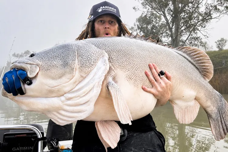 الصياد كيسي باركنسون لحظة اصطيادة سمكة قد موراي Murray cod