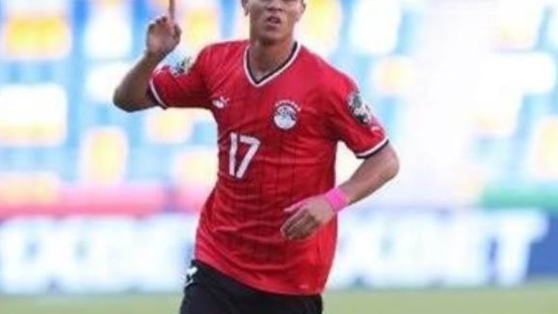 محمد شحاتة 
