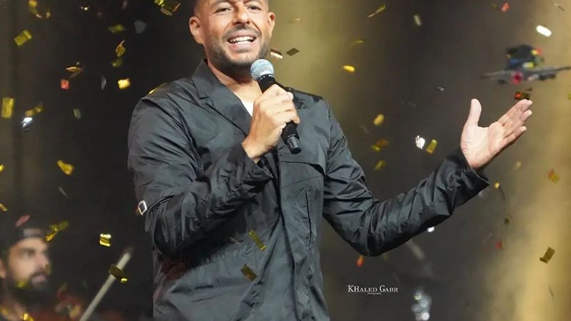 محمد حماقى