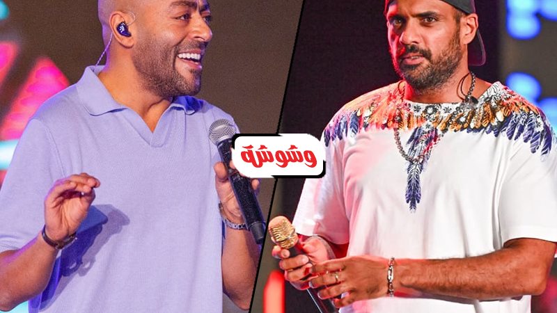 شارموفرز وتامر عاشور