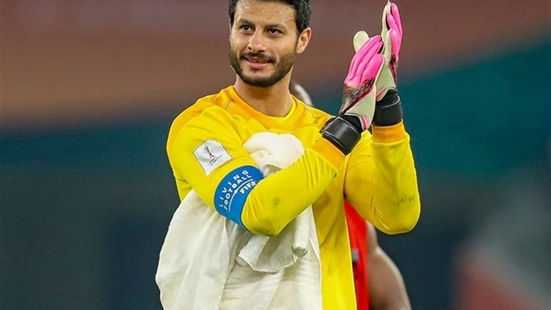 محمد الشناوي
