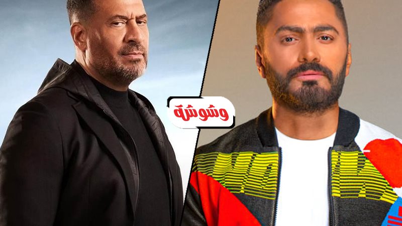 ماجد المصرى و تامر