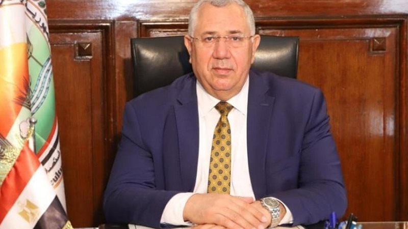 السيد القصير