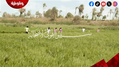  طرح أغنية 