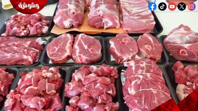 أستاذ زراعة: هناك جهود متواصلة من الدولة لزيادة الإنتاجية من اللحوم والألبان‎