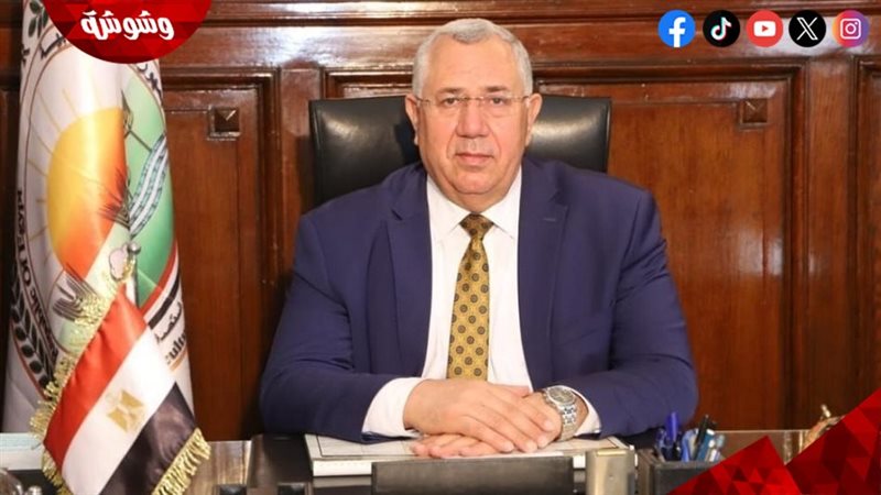 السيد القصير