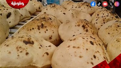 هل يتم تطبيق الدعم النقدي للخبز قريبًا؟.. وزير التموين يكشف