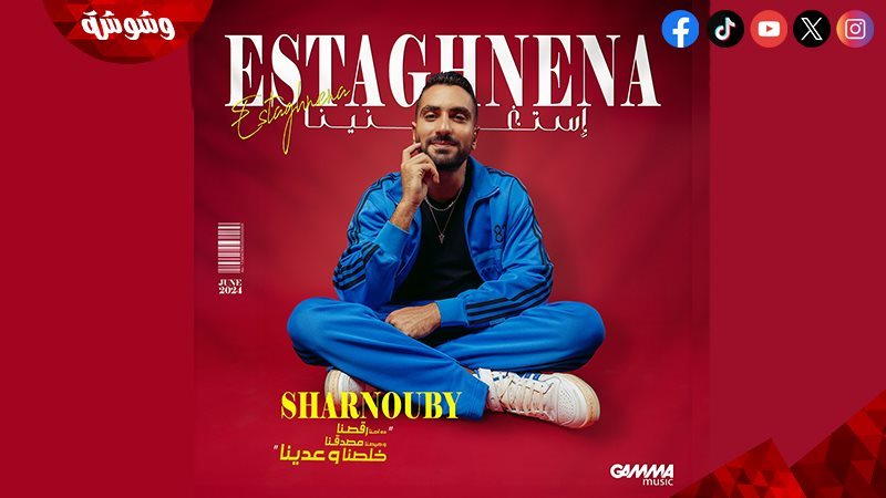 محمد الشرنوبى