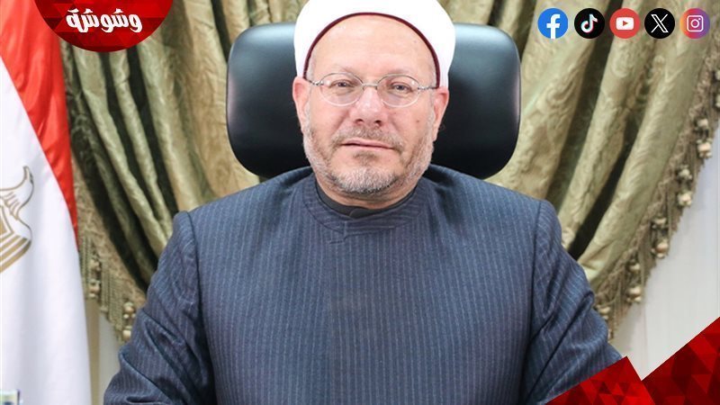 شوقي علام