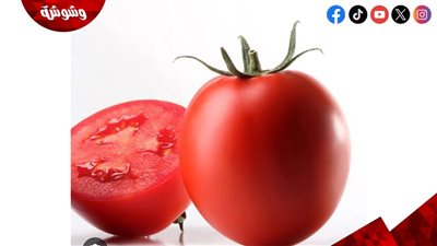 ٤ خطوات لتخزين الصلصة بطريقة صحيحة