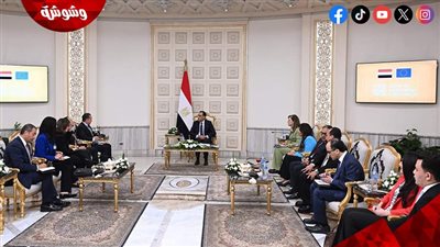 رئيس الوزراء يلتقي الرئيس التنفيذي لشركة 