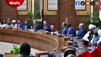 الرئيس السيسي يستقبل وفداً سودانياً من المشاركين بمؤتمر القوى السياسية والمدنية السودانية