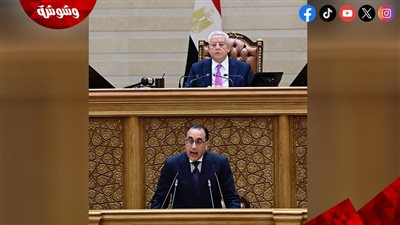 رئيس الوزراء: نتعهد بالقضاء على مشكلة انقطاع الكهرباء نهائيًا