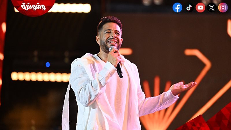 محمد حماقى
