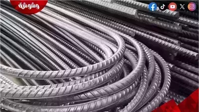تعرف على أسعار الحديد اليوم الخميس