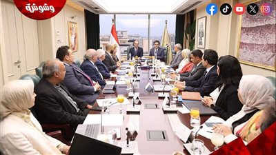 وزيرا الثقافة والاتصالات وتكنولوجيا المعلومات يبحثان تعزيز التعاون المشترك بمجالات التحول الرقمي ‎