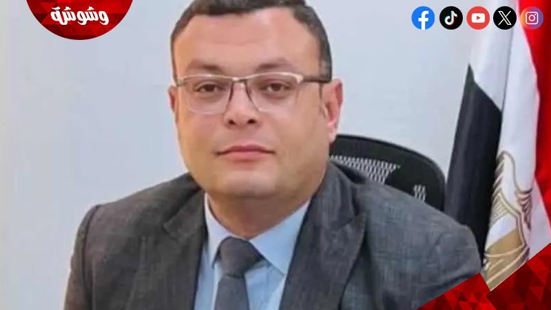 المهندس شريف الشربيني