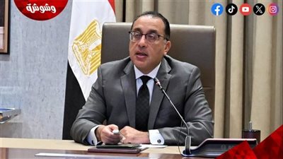 رئيس الوزراء: تشكيل خلية أزمة من الوزارات والجهات المعنية لمتابعة الأعطال التقنية‎