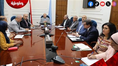 محافظ القاهرة يتابع تطوير المناطق التاريخية‎