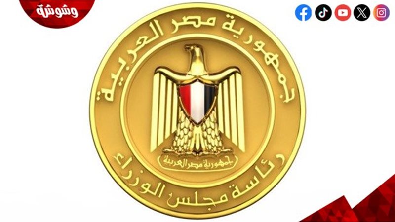 الحكومة المصرية