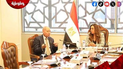 وزيرة التنمية المحلية تتابع جهود محافظة القاهرة في توفير السلع الأساسية 