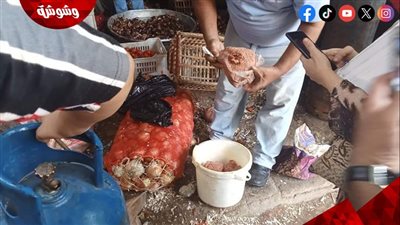 نائب محافظ القاهرة للمنطقة الجنوبية يتابع ضبط الأسعار بحي التبين لرفع المعاناة علي المواطنين‎