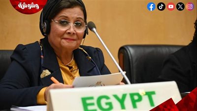 نائب وزير الصحة: ندعو الدول الأفريقية للاستفادة من مبادرة الألف يوم الذهبية 