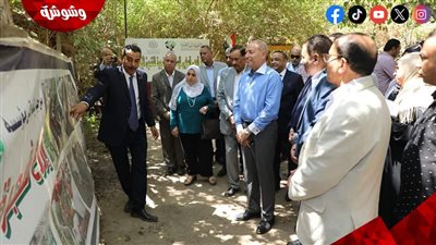 محافظ القاهرة يزرع أول شجرة ضمن مبادرة 