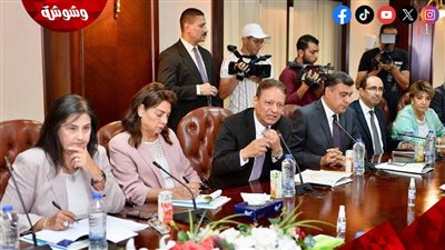الأعلى لتنظيم الإعلام: رصد المواقع والصفحات المصرية التى نشرت اخبارا مغرضة عن حادث طابا