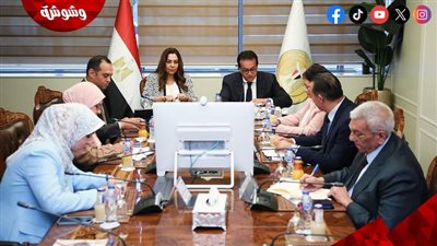 نائب رئيس الوزراء ووزيرة التنمية المحلية يناقشان خطط العمل لتنفيذ المشروع القومي للتنمية البشرية‎