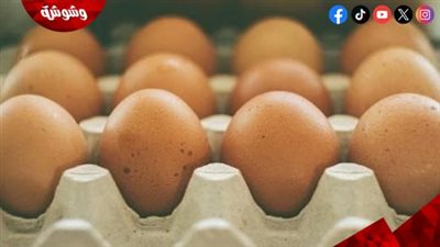  6 أخطاء تجنبيها فى التعامل مع البيض 