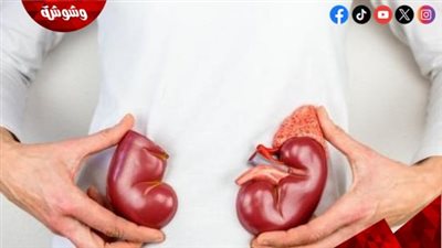 فوائد لا تعرفها النساء عن فول الصويا.. علاج طبيعي للشعر والبشرة والكوليسترول