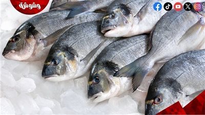 تعرف على أسعار الأسماك فى الأسواق اليوم الجمعة