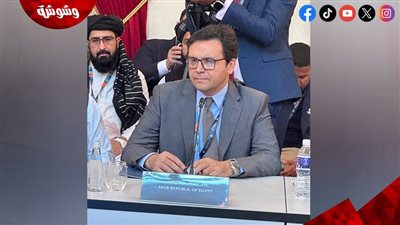 وزير الثقافة يستعرض التحديات التي تُواجه الصناعات الثقافية الرقمية بروسيا‎