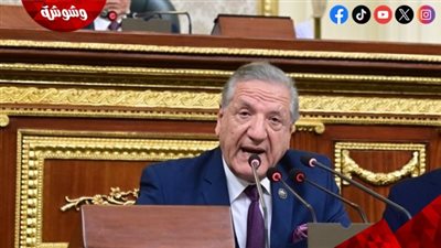 رئيس خطة النواب: التيسيرات الضريبية تدعم المناخ الاستثمارى الوطنى‎