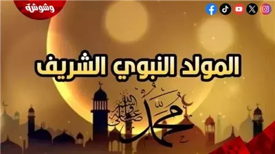 أمين الفتوى بالإفتاء: الاحتفال بالمولد النبوي الشريف من الأمور المباحة‎