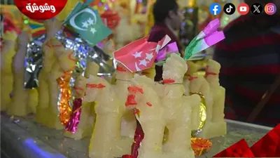 مش بس تقوية صلة رحم.. 7 فوائد هتعود عليك من زيارة عيلتك في مولد النبي 