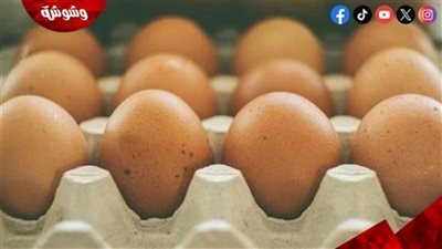رئيس شعبة البيض يكشف موعد انخفاض أسعاره‎