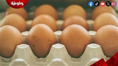 رئيس شعبة الدواجن يزف بشرى ساره بشأن كرتونة البيض