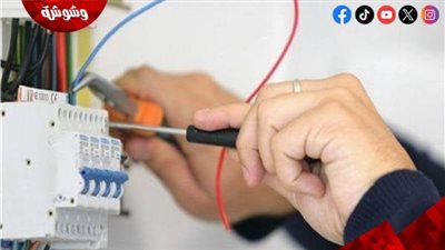 عالم أزهري يرد على الدعوة لـ«استحلال سرقة الكهرباء»‎