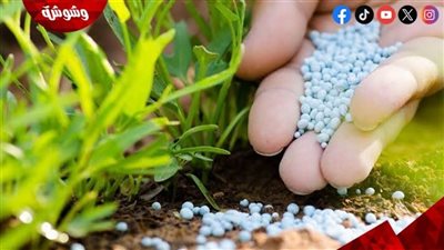 نقيب الفلاحين: الأسمدة المدعمة عبء كبير على الفلاح‎