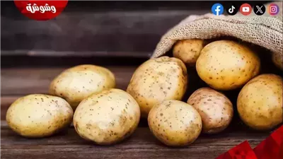 وزارة الزراعة تكشف تفاصيل مهمة بشأن إنتاج البطاطس في مصر‎