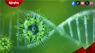 استشاري أمراض قلب: كورونا ليس مجرد التهاب رئوي فقط‎