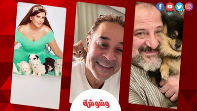 واحدة انهارت بعد موت كلبها والتانية قطتها بتصلي.. مشاهير عشقوا الحيوانات قبل خالد الصاوي