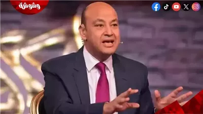 عمرو أديب: انتخابات 2010 آخر مسمار انضرب في نعش نظام مبارك!